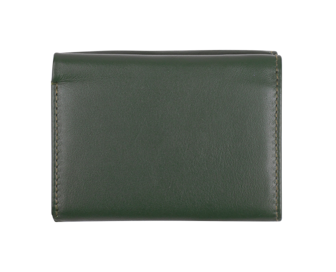 Dámská peněženka kožená SEGALI 1756 zelená 